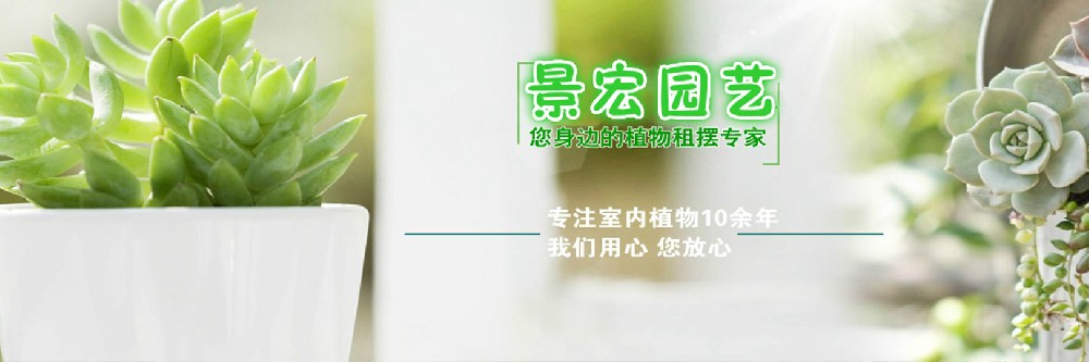 關(guān)于我們